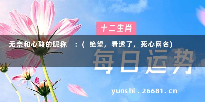 无奈和心酸的昵称 :(绝望,看透了,死心网名)